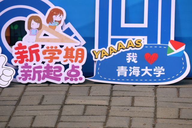 b5dd6ed349464411a48e5cfc01ce34a8.jpg