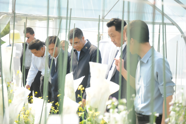 ad52cf1d9d2c4026a0745a0ce56bab1f.png 图片 2.png