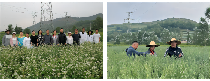 4ac843ab439f4fec9a0b9a0f437f09dc.png QQ图片20230805210120.png
